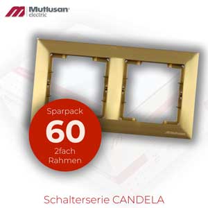 Sparset 60x 2fach Rahmen Horizontal Gold Metall Optik CANDEL Standard