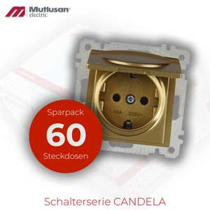 Sparset 60x Steckdose  mit Klappdeckel Gold CANDELA Serie