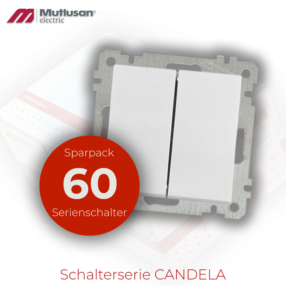 Sparset 60x Serienschalter / 2 fach Schalter weiß CANDELA Standard