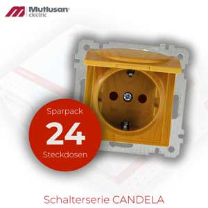 Sparset 24x Steckdose mit Klappdeckel und Kindersicherung Eiche Holz Optik CANDELA serie